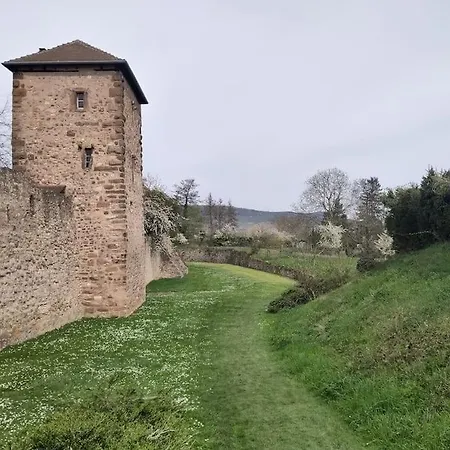 Spacieux Et Chaleureux 8p, Route Des Vins Holiday home Bergheim